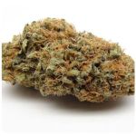 Шишки AK47  (Гидропоника, Бошка) VHQ в Таганроге